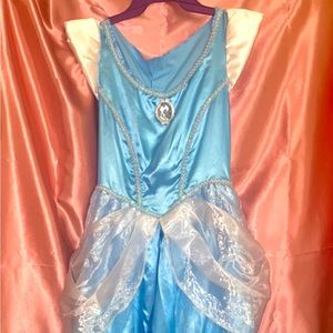 Adult Cinderella Costume